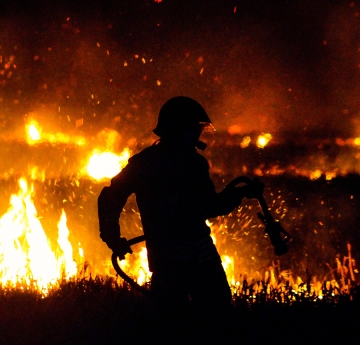 Firefighter with a hose in a forest fire